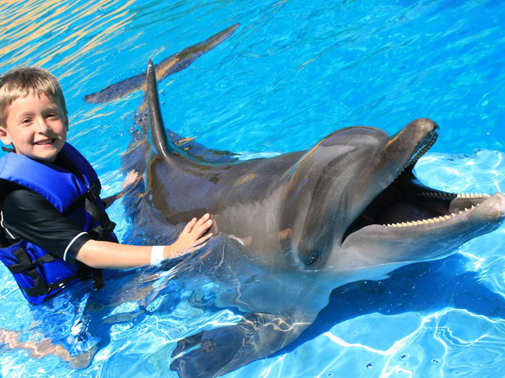Negril sunset and Dolphin Cove Encounter - Montego Bay (and vicinity)