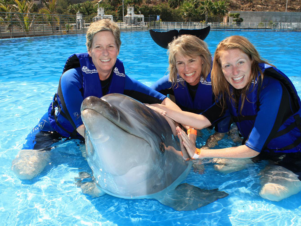 Negril sunset and Dolphin Cove Encounter - Montego Bay (and vicinity)