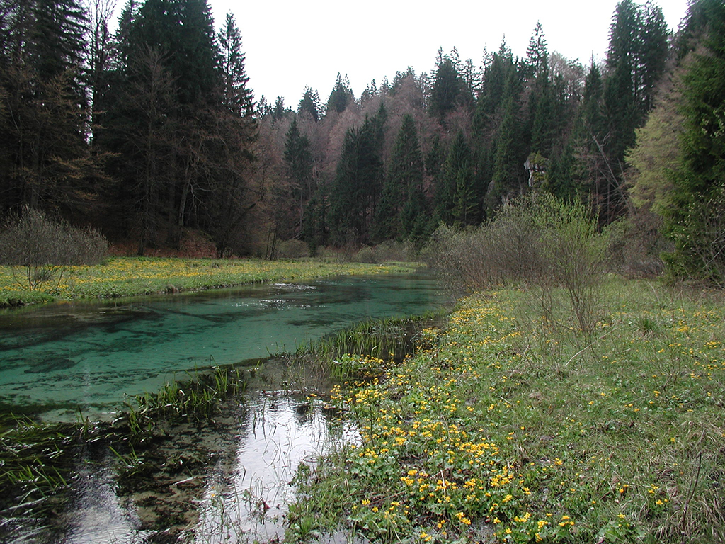  Plitvice Lakes National Park Tour - Split - Middle Dalmatia