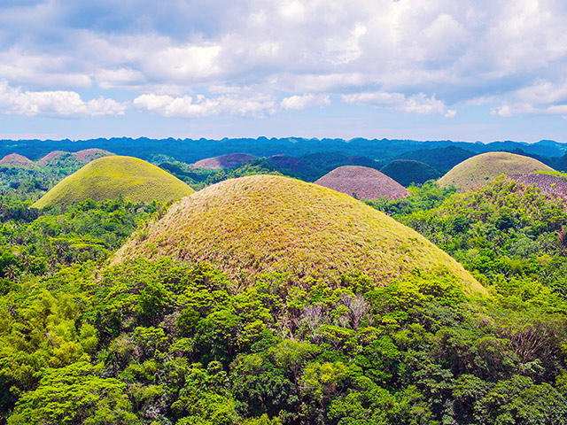 Tour Chocolate Hills and Tarsier Encounter - Private - Bohol