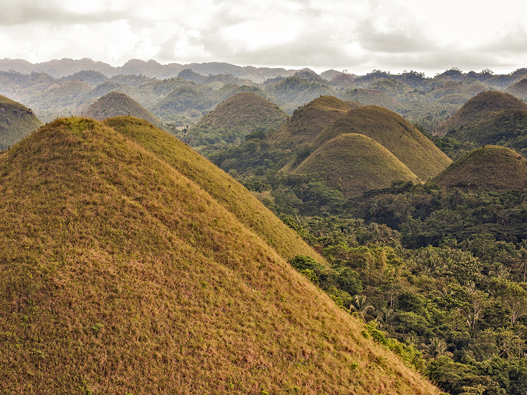 Tour Chocolate Hills and Tarsier Encounter - Private - Bohol