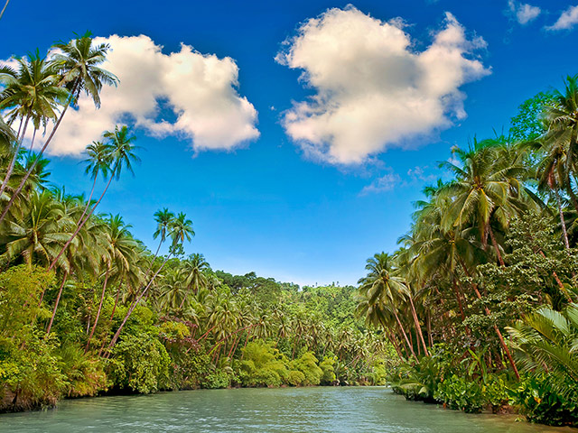 Pamilacan Island Full-Day Tour - Bohol