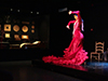 Jaleo Flamenco Show at Music Museum