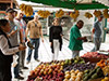 Gastronomic Tour