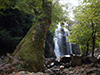 Thermal Tour in Yalova