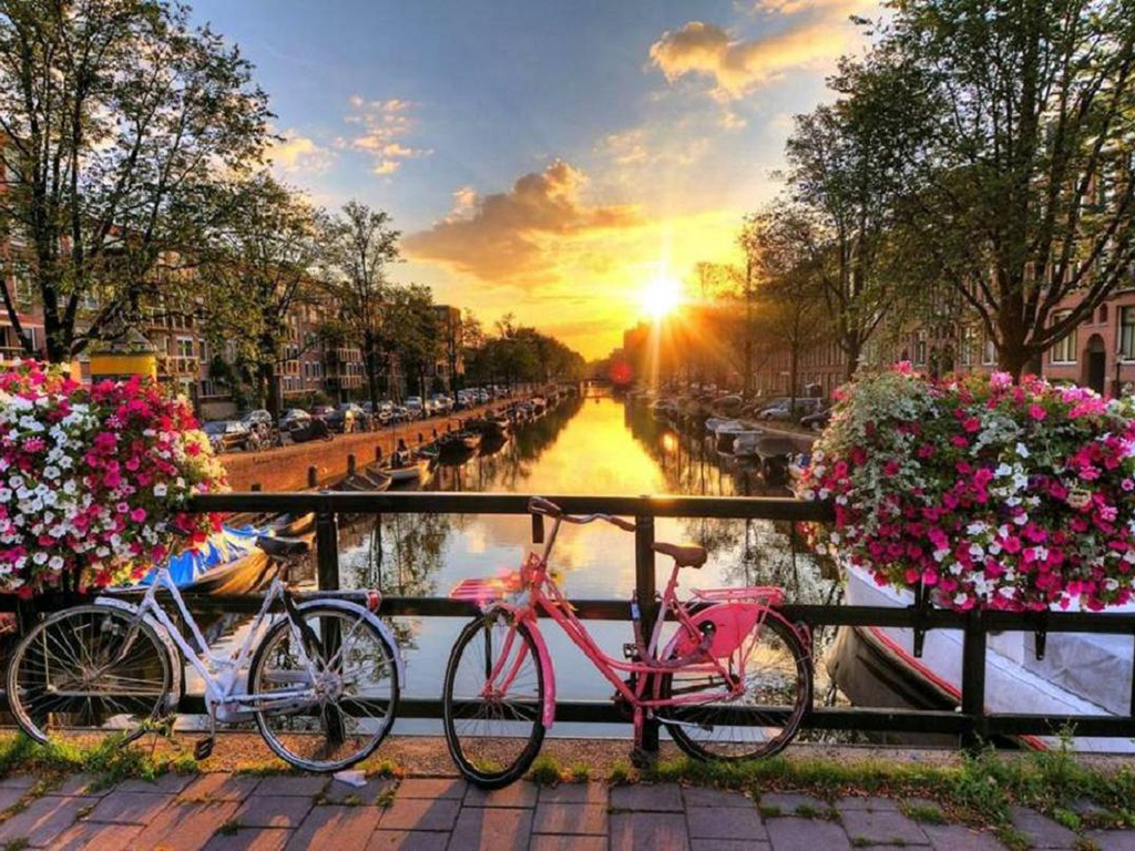 Panoramic Amsterdam - Private Tour - Amsterdam and vicinity