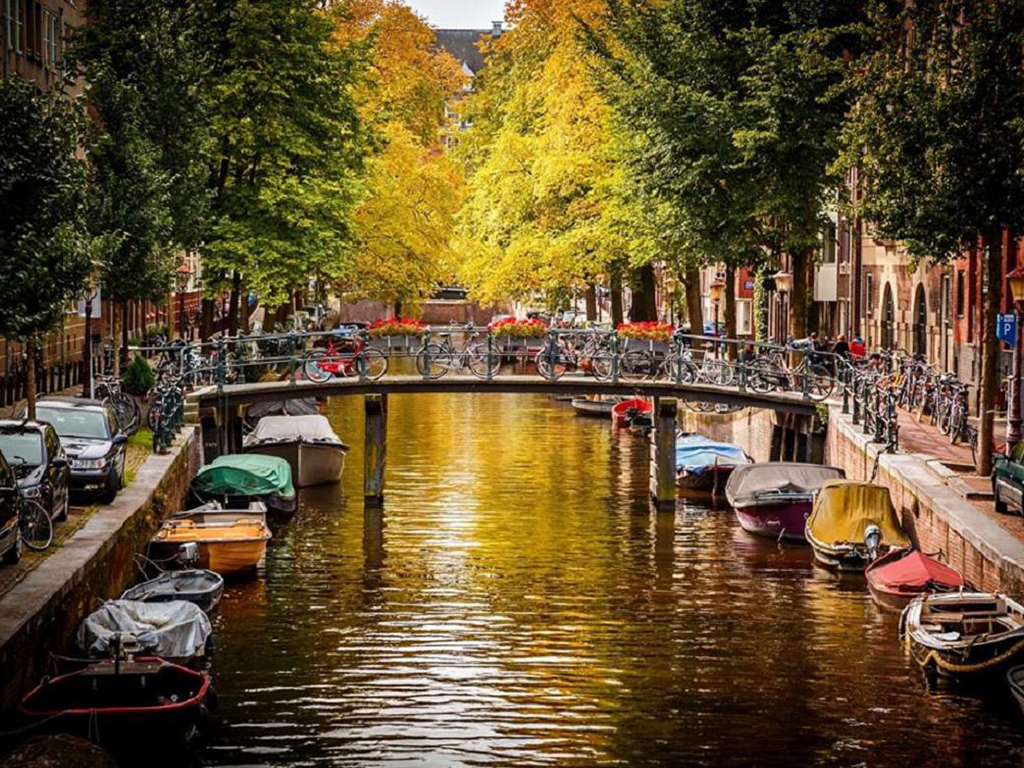 Panoramic Amsterdam - Private Tour - Amsterdam and vicinity