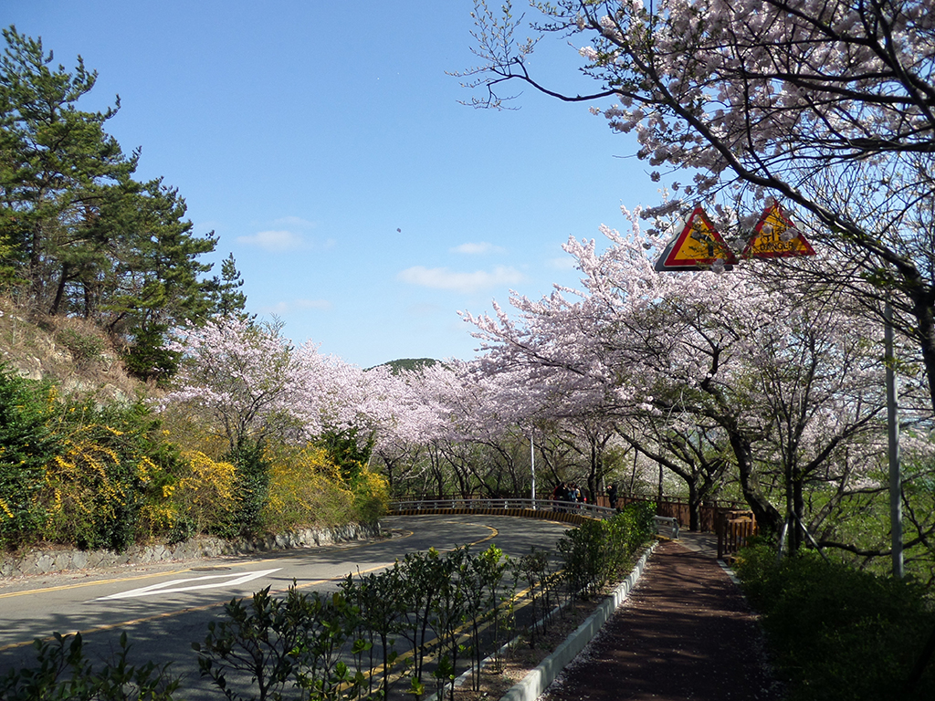 Busan City A Course - Full-Day Private Tour