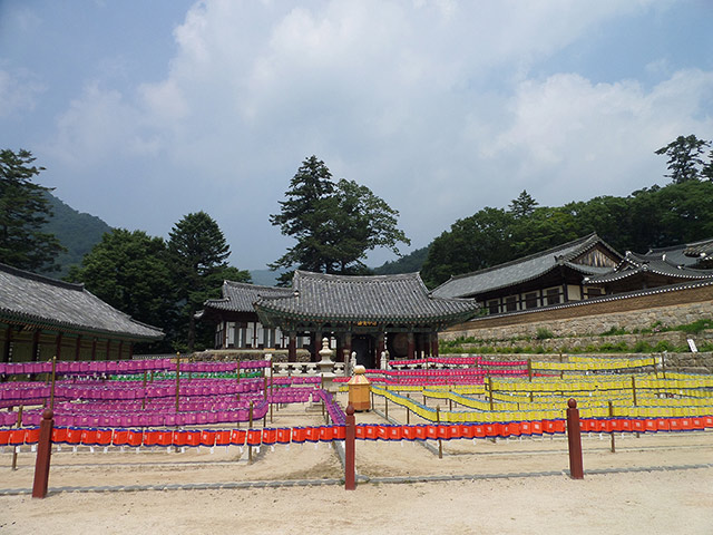 Junam Wetland and Haeinsa Temple - Private Tour