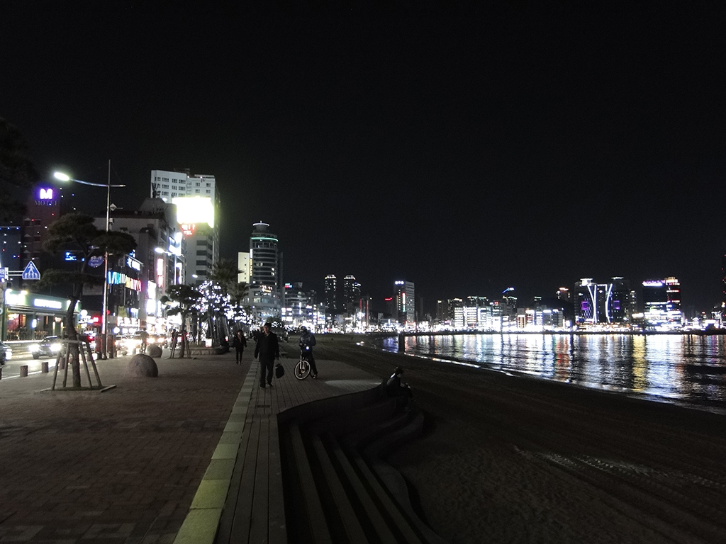 Night View of Busan - Private Tour