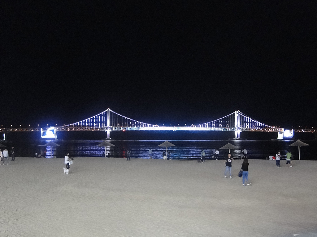 Night View of Busan - Private Tour