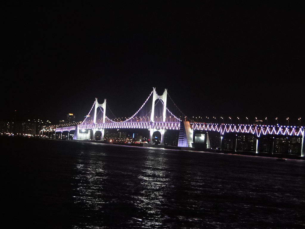 Night View of Busan - Private Tour