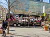 Experience The Tour - Autobús panorámico