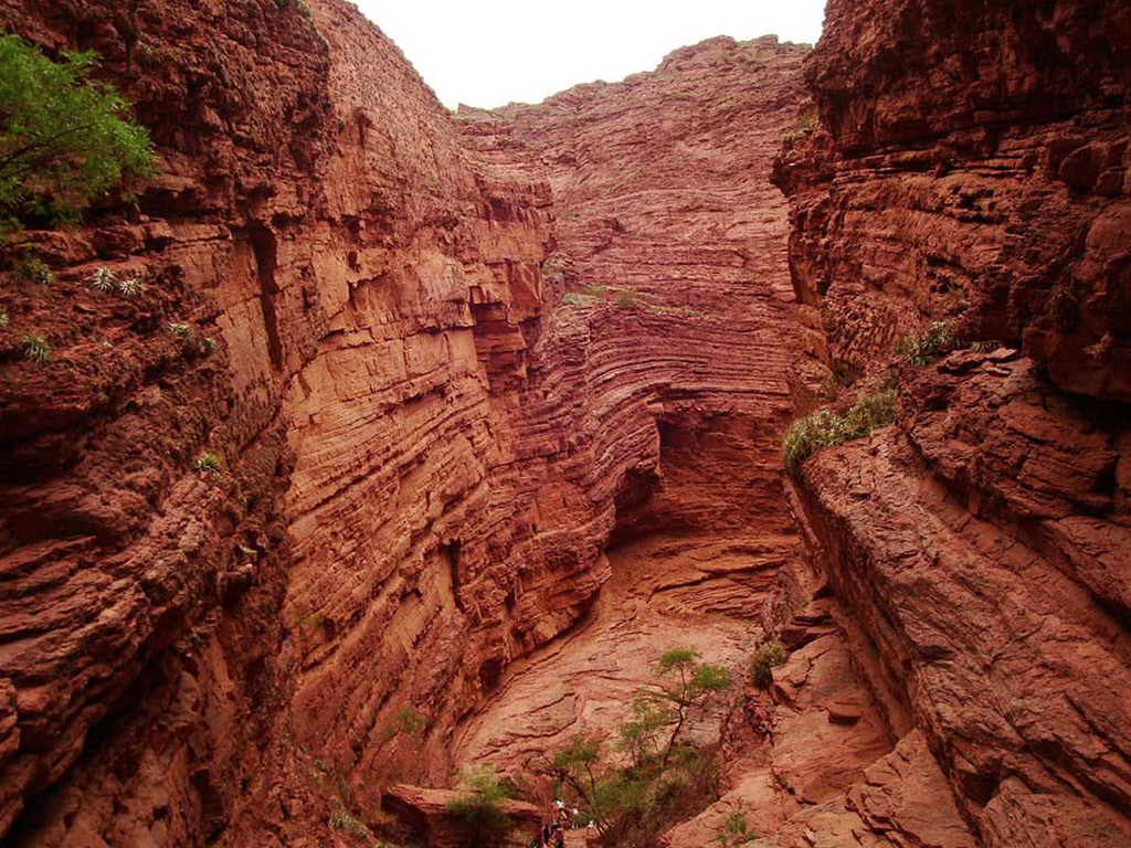 Cafayate and Calchaqui Valley Wine Full Day Tour - Salta