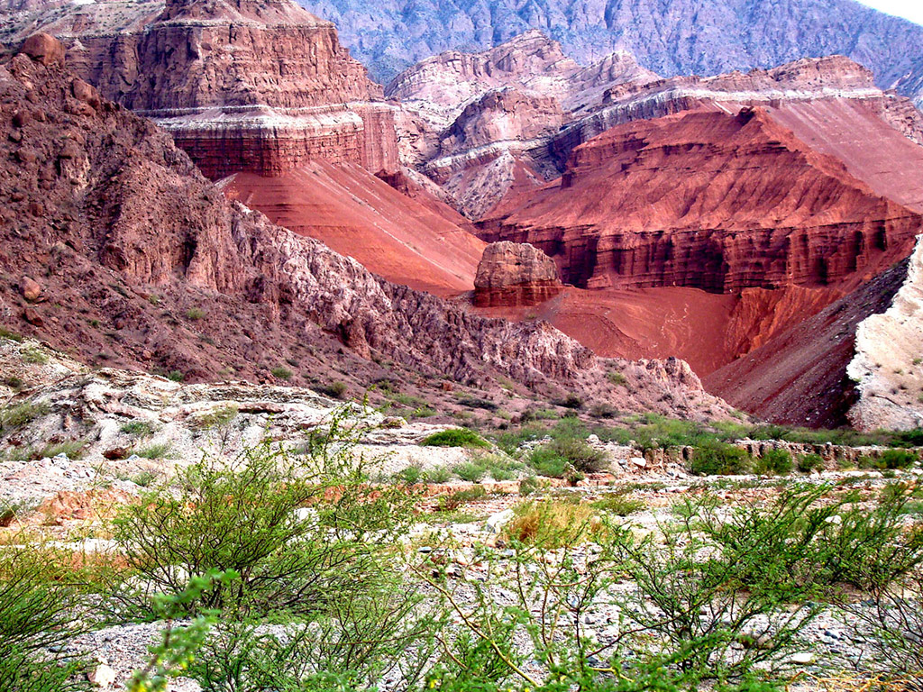 Cafayate and Calchaqui Valley Wine Full Day Tour - Salta