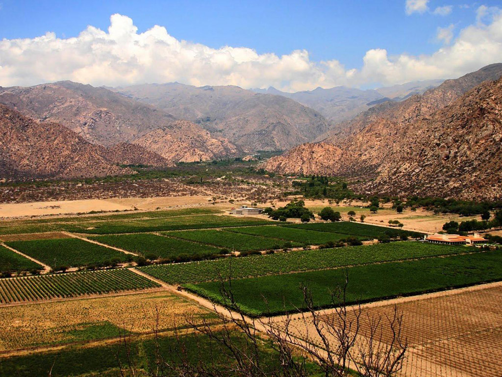 Cafayate and Calchaqui Valley Wine Full Day Tour - Salta
