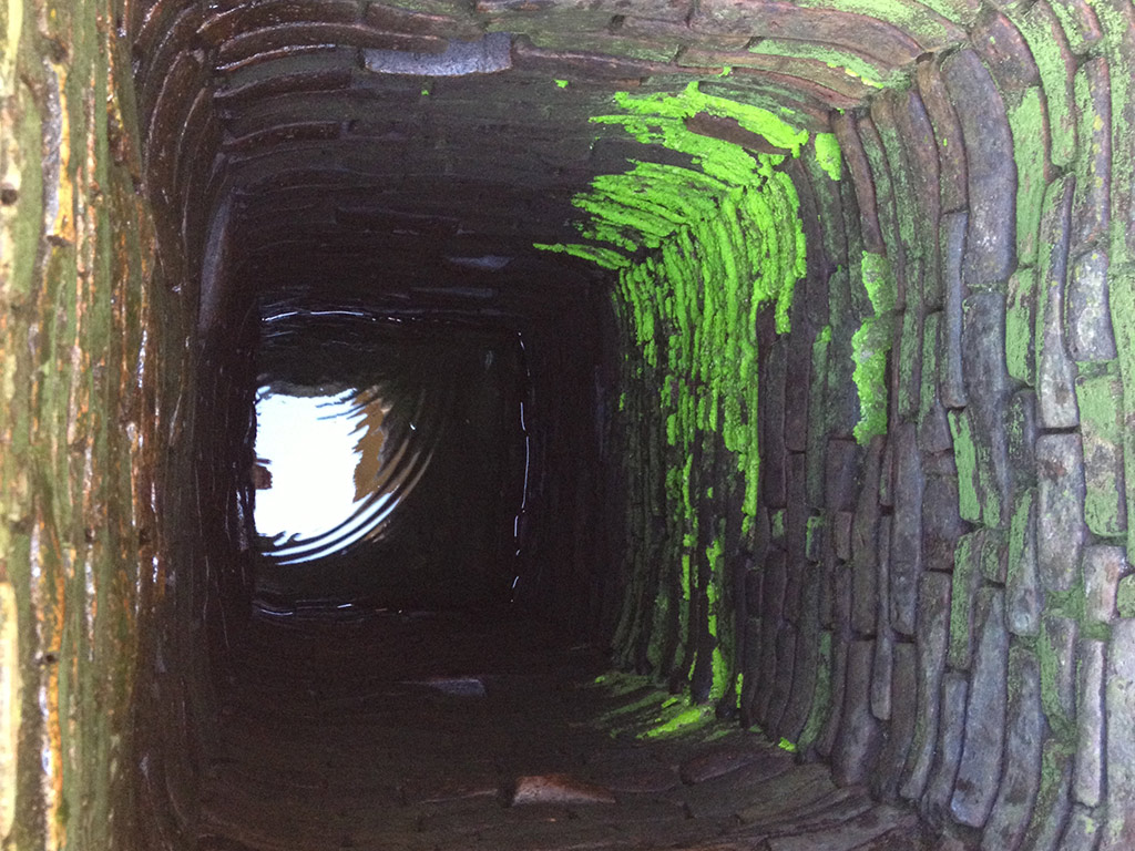 Hoi An Food Adventure