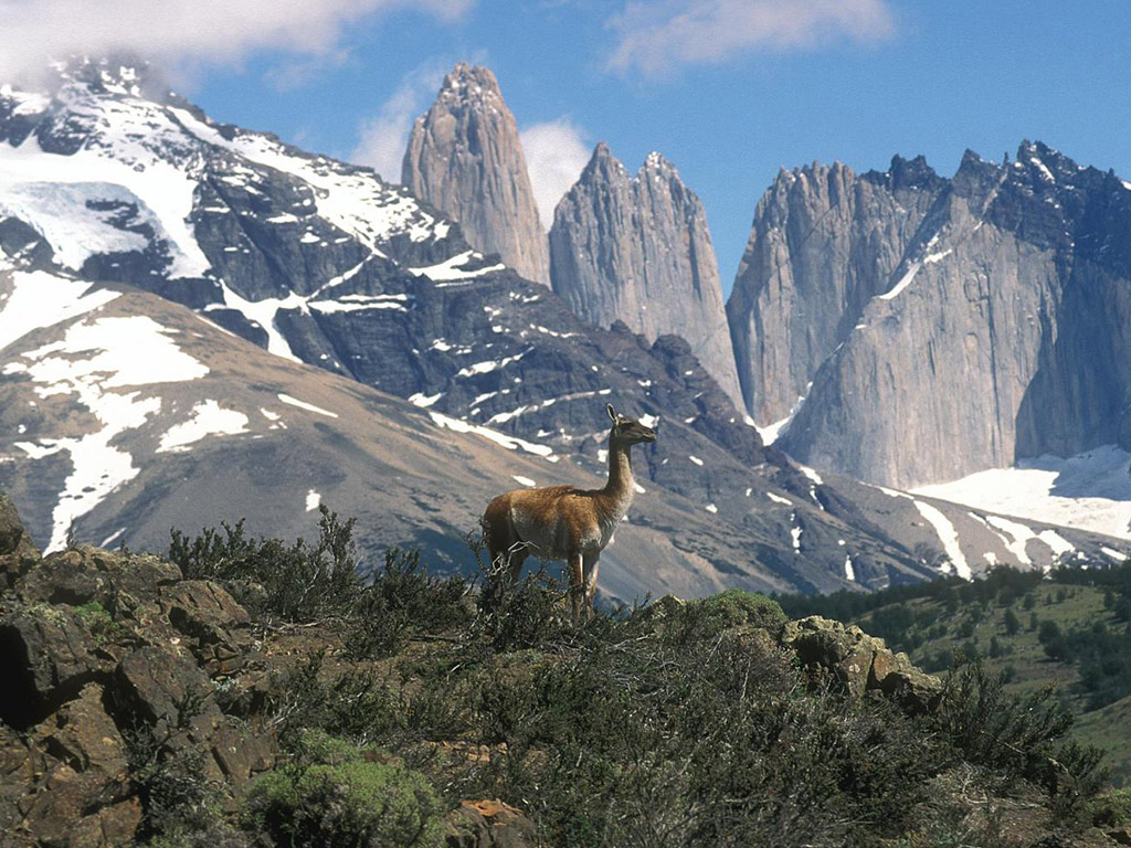  Torres del Paine with Milodon Cave - Full-Day Tour - Puerto Natales