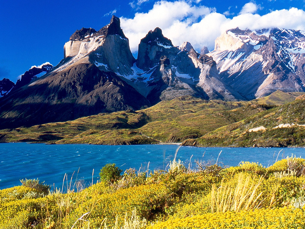  Torres del Paine with Milodon Cave - Full-Day Tour - Puerto Natales