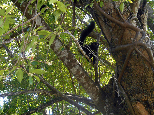 Domaine de Florette - Nosy Be