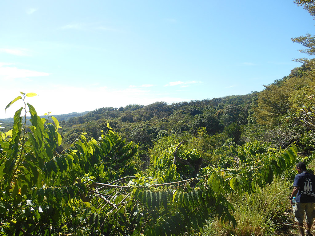 Domaine de Florette - Nosy Be