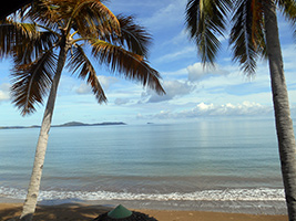 Discover Biodiversity at Lokobe Reserve, Nosy Be