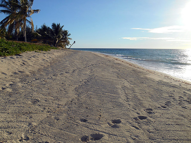 Sakatia Island - Nosy Be