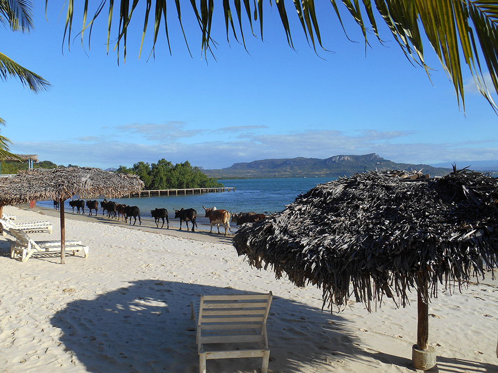 Three Bays - Antisiranana