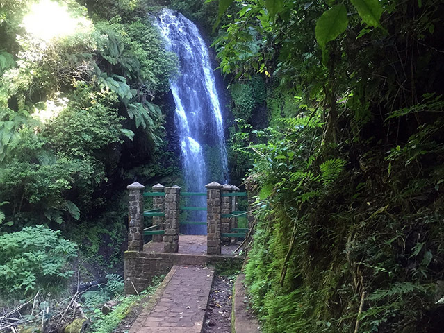 Amber Mountain National Park - Antisiranana