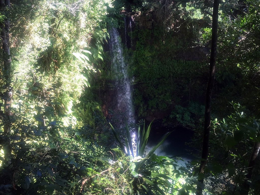 Amber Mountain National Park - Antisiranana