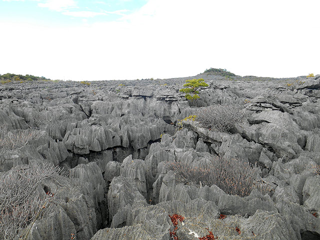 Ankarana National Park - Antisiranana