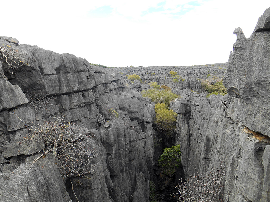 Ankarana National Park - Antisiranana