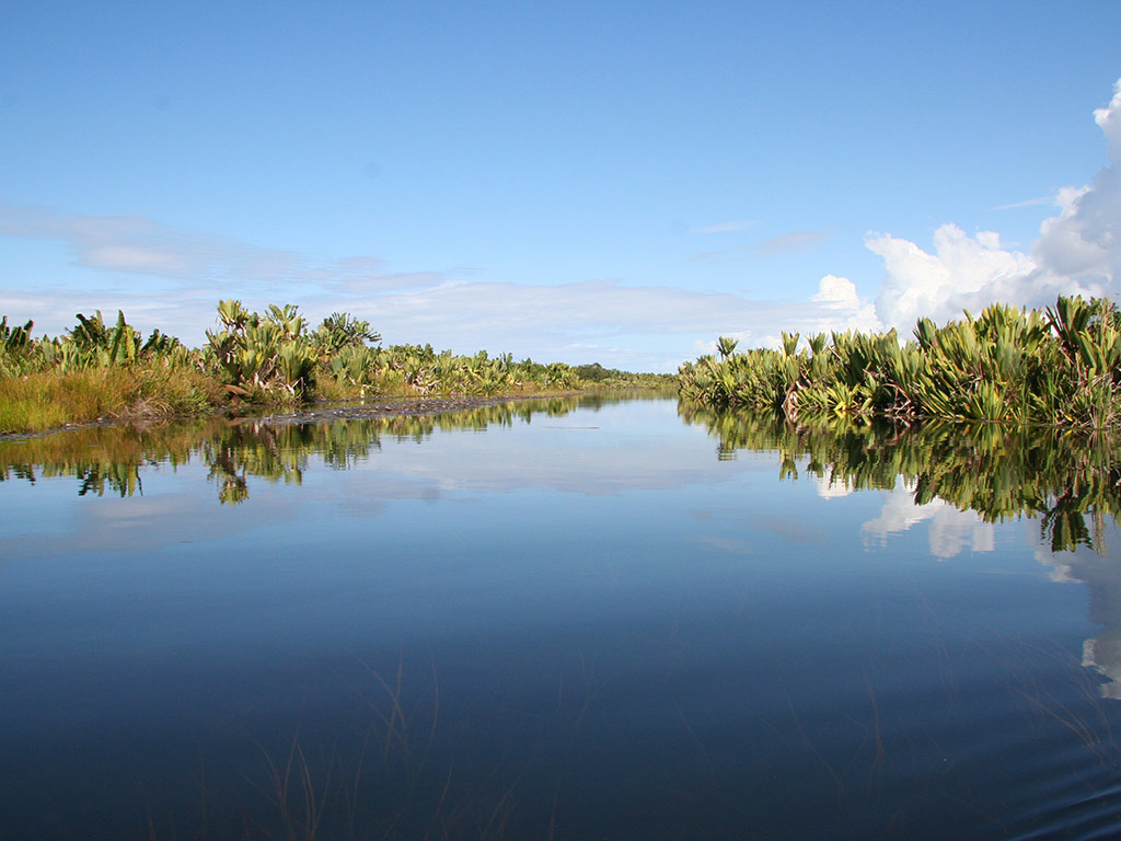 Pangalanes Channels Adventure Tour