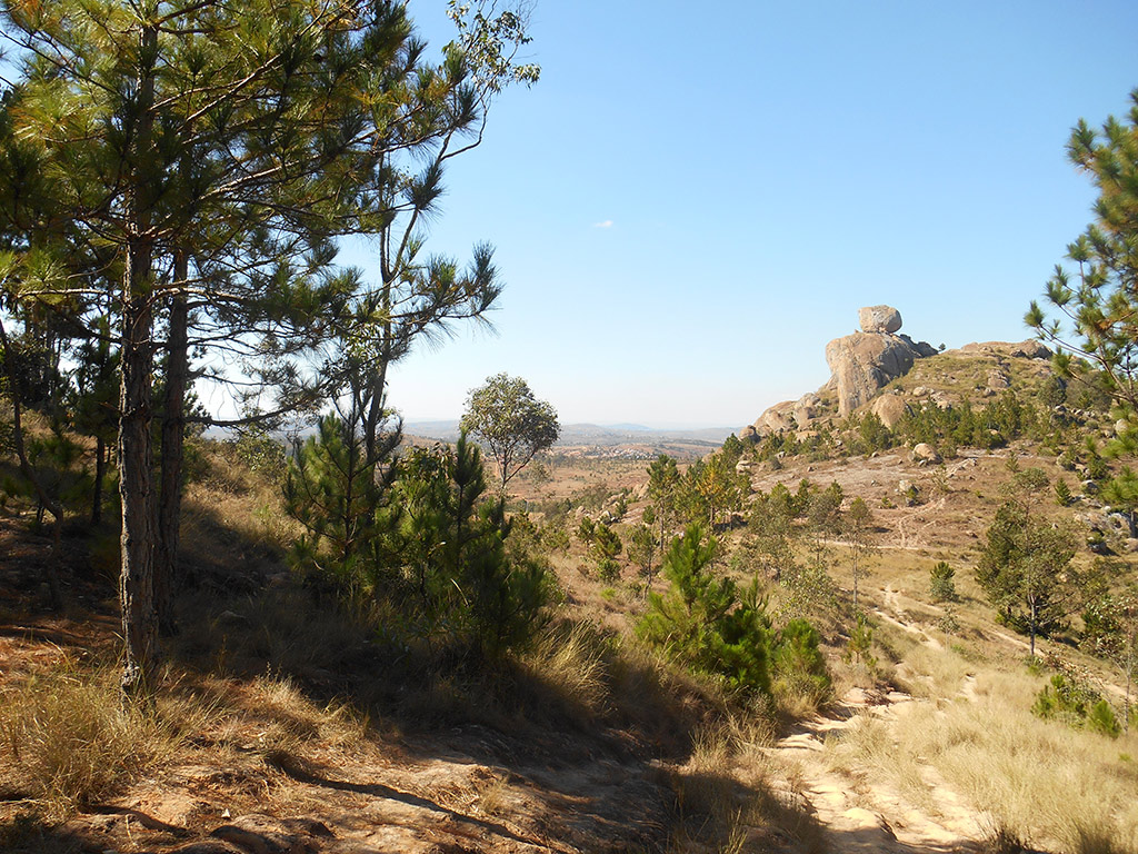 Lemur's Park and Antongona Hill - Antananarivo