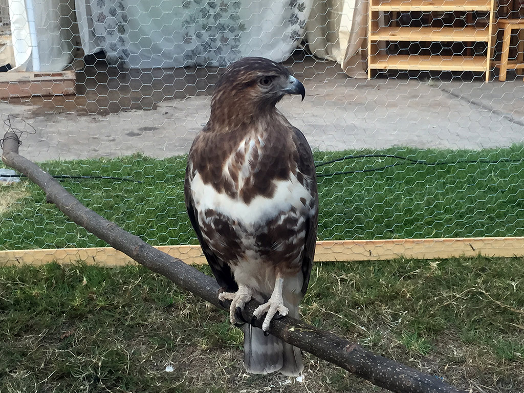 City tour and Tsimbazaza Zoo - Antananarivo