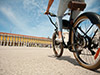 Delicious Bike Tour