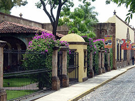 Guadalajara and Tequila -With Lunch