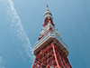 Tokyo Morning