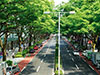 Walking Tokyo with Street Food: Fashion District Harajuku & Crepes