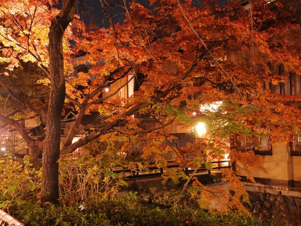 Kyoto in One Day - Tour