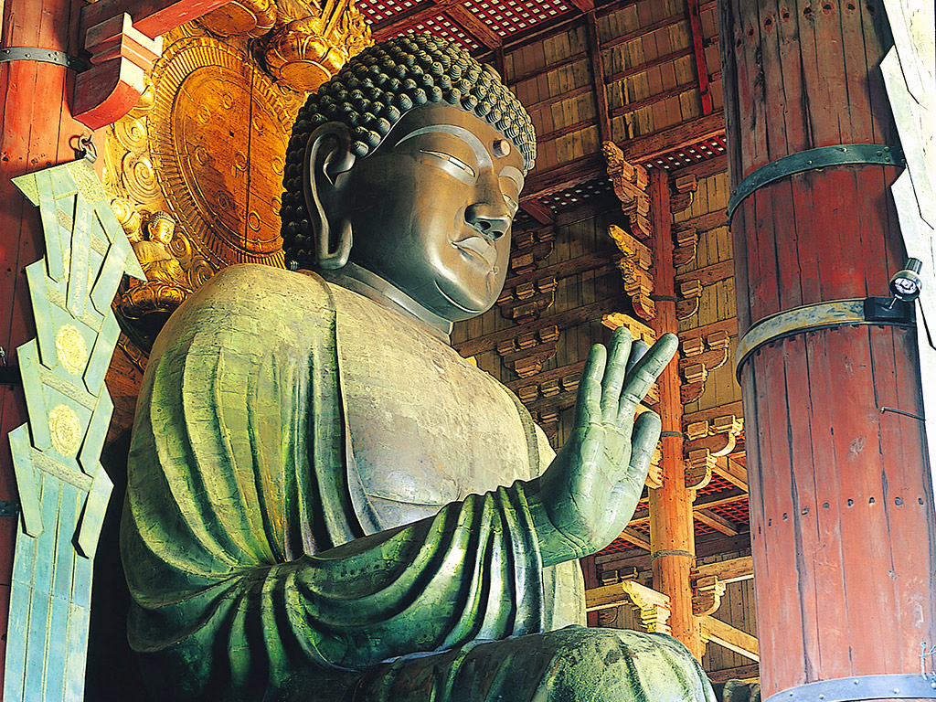 Kyoto and Nara in One Day - Tour