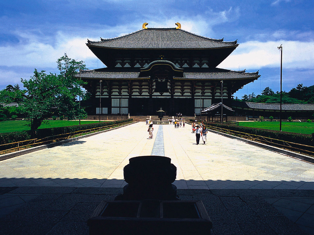 Kyoto and Nara in One Day - Tour
