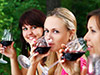 Wine Tasting Tour