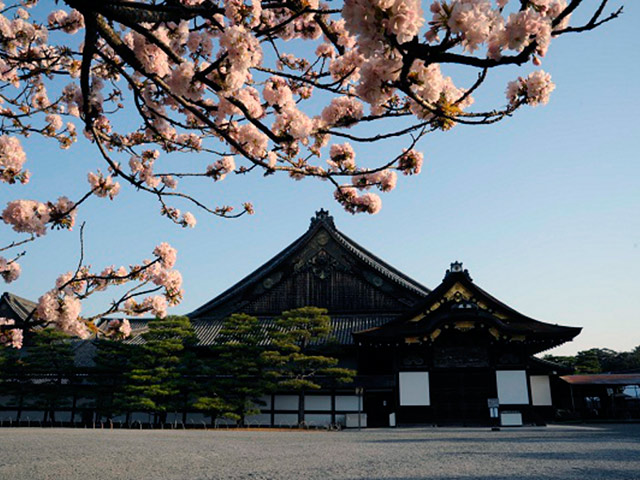 Kyoto Morning Tour: Nijo Castle, Kinkaku-ji Temple, Kyoto Imperial Palace