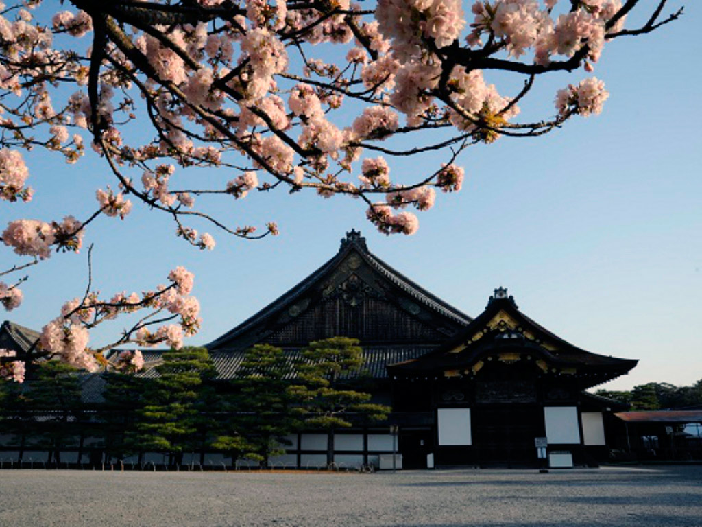 Kyoto Morning Tour: Nijo Castle, Kinkaku-ji Temple, Kyoto Imperial Palace