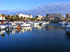 Quarteira Market