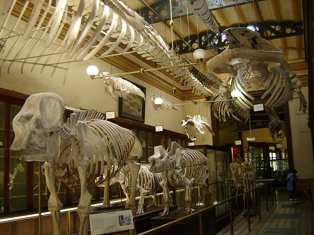 La Plata City - Half-Day Tour - Buenos Aires
