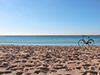 Bicycle Tour Palma and Tapas