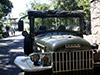 Rainforest Jeep Tour