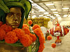 Samba Soul Experience in Rio